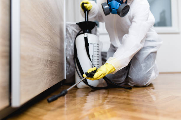 Best Wildlife Control Services  in Dumas, AR