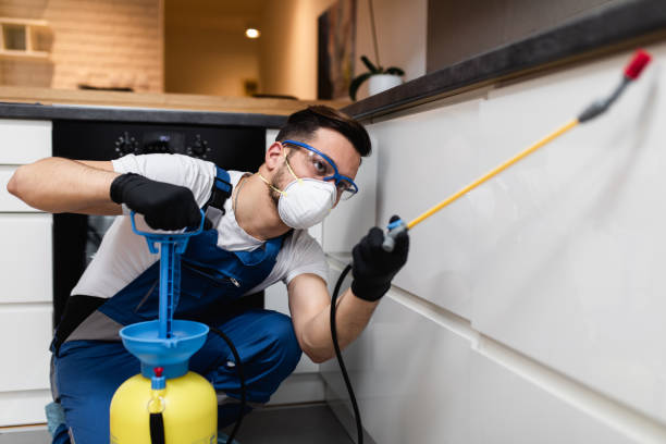 Best Commercial Pest Control Services  in Dumas, AR