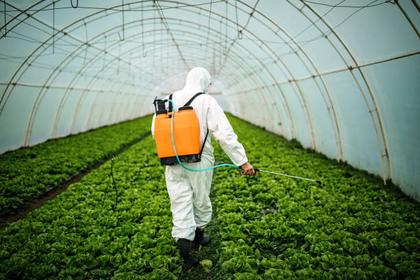 Best Pest Control Treatment  in Dumas, AR